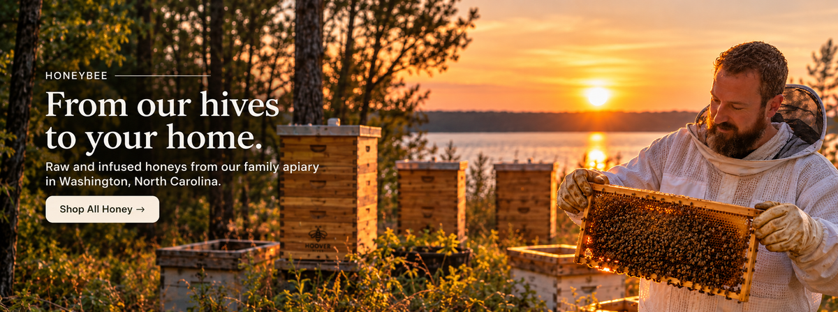 HONEYBEE apiary at golden hour with beekeeper inspecting a honeycomb frame